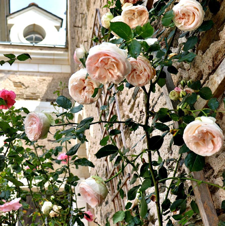 La Demeure De L'Aubance Bed and Breakfast Saint-Mélaine-sur-Aubance Esterno foto