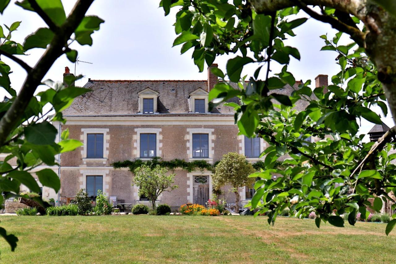 La Demeure De L'Aubance Bed and Breakfast Saint-Mélaine-sur-Aubance Esterno foto